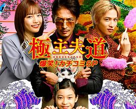 极主夫道爆笑!找碴SP